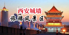 WWW-操骚妇一色桃子骚逼-com中国陕西-西安城墙旅游风景区