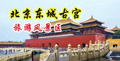 一个男人鸡巴操女人骚逼视频动态图中国北京-东城古宫旅游风景区